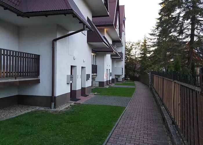 Rzut Beretem